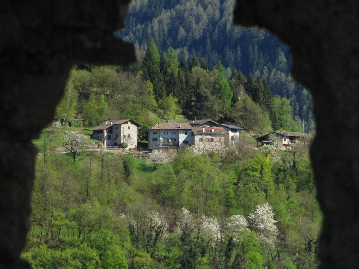 Bed and Breakfast Paneeriposo Pergine Valsugana Exterior foto